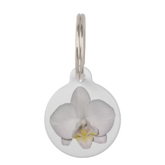 White Orchid Pet Tag
