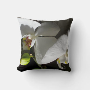 white orchid photo, tropical white floral photo cushion