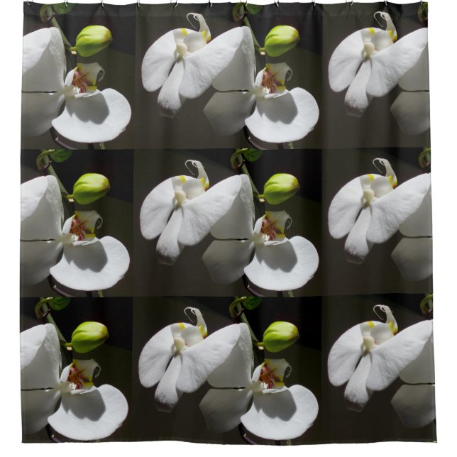 white orchid photo, tropical white floral photo shower curtain (Front)