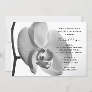 White Orchid Post Wedding Brunch Invitation