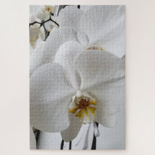 White Orchid Puzzle