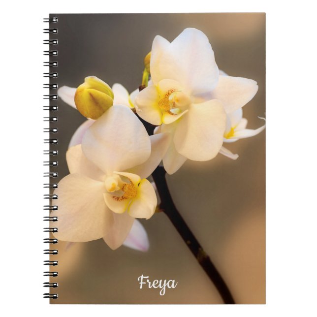 White Orchid Spiral Photo Notebook (Front)