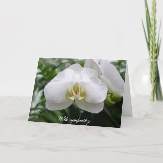 White orchid sympathy card