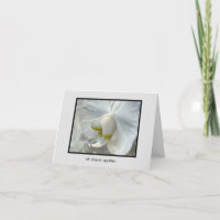 White Orchid Touch of Yellow Deepest Sympathies