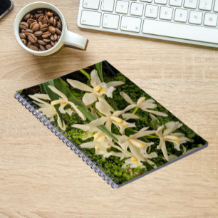 White Orchids and Ferns Floral Notebook
