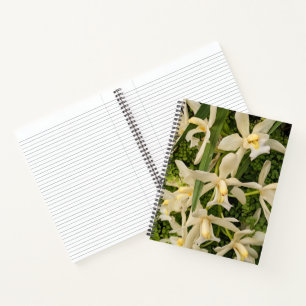 White Orchids and Maidenhair Ferns Floral Notebook