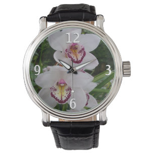 White Orchids Beautiful Tropical Flowers Watch