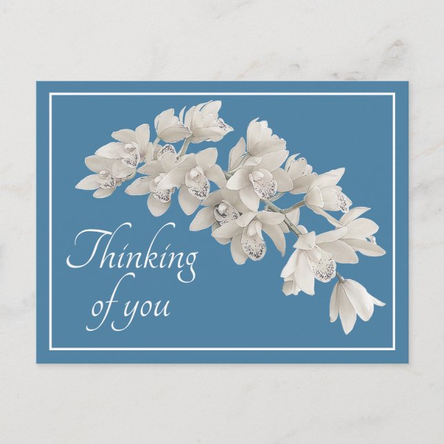 White Orchids Blue Background Thinking of You Postcard (Front)