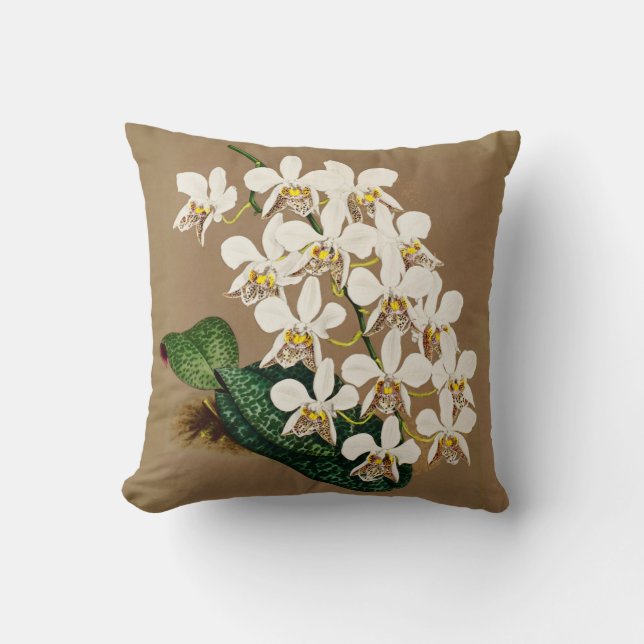 White Orchids Botanical Print, Tan Background Cushion (Front)