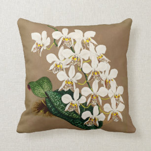 White Orchids Botanical Print, Tan Background Cushion