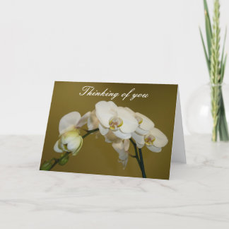 White Orchids Card