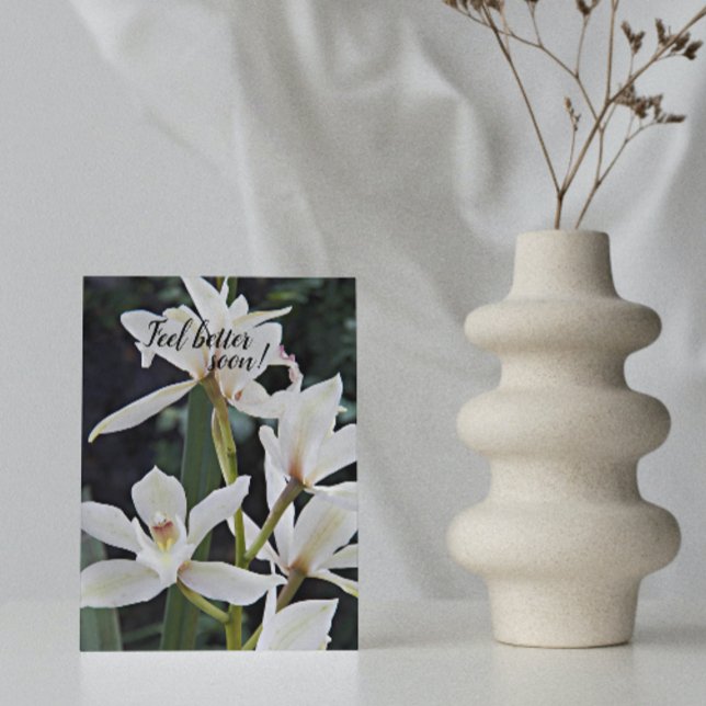 White Orchids Floral Get Well Card (In Situ)