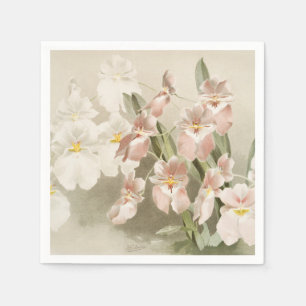White Orchids Flower Vintage Old Illustration Napkin