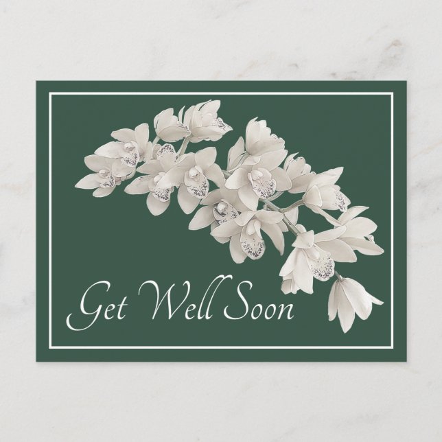 White Orchids Green Background Get Well Soon Postcard (Front)