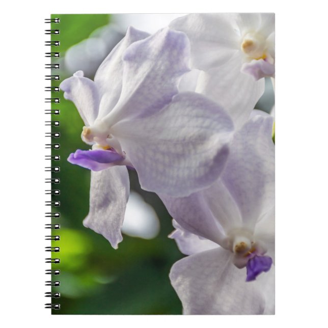 White orchids notebook (Front)