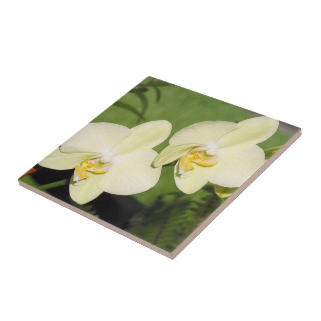 White Orchids on a green background Ceramic Tile (Side)