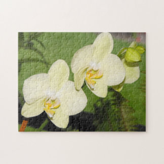 White Orchids on a green background Jigsaw Puzzle