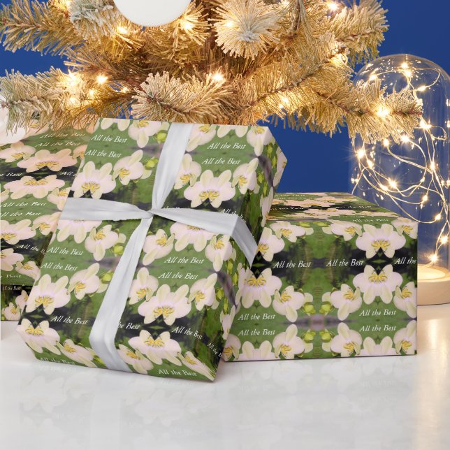 White Orchids on a green background Wrapping Paper (Holidays)