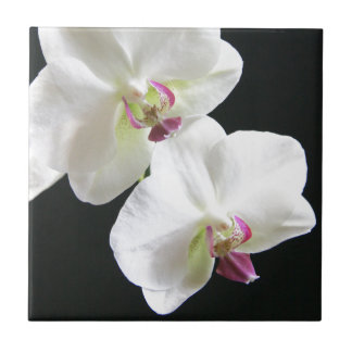 White Orchids on Black Ceramic Tile