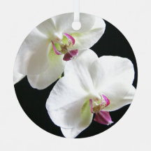 White Orchids on Black
