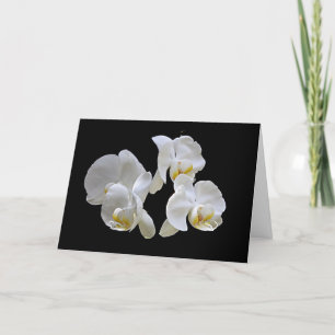 White Orchids on Black - Elegant Card