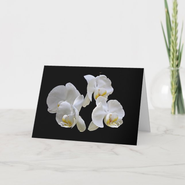 White Orchids on Black - Elegant Card (Front)