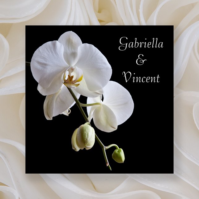 White Orchids on Black Wedding Invitation (Creator Uploaded)