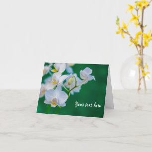White Orchids on Green Greeting card