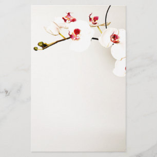 White Orchids Stationery