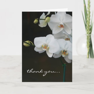 White Orchids Thank You Card