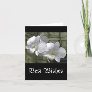 "WHITE ORCHIDS WITH RAINDROPS" (photog) Card