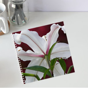 White Oriental Lily Bloom Floral Notebook