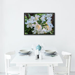 White Oriental Lily Blooms Floral Poster