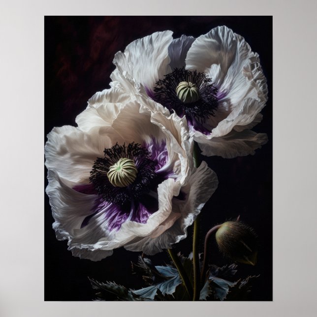White Oriental Poppy Flowers Art Print Poster (Front)