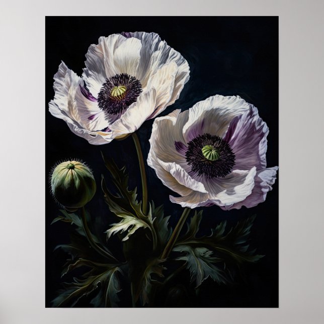 White Oriental Poppy Flowers Art Print Poster (Front)