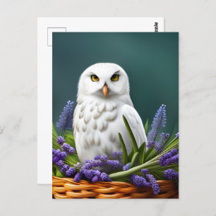 White Owl in Lavender, Postcrossing Postcard