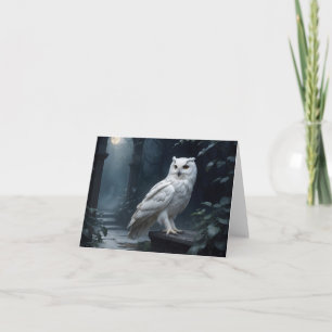 white owl in the night card