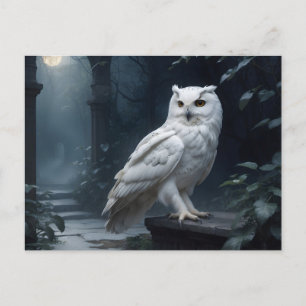 white owl in the night postcard