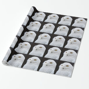 White Owl Wrapping Paper