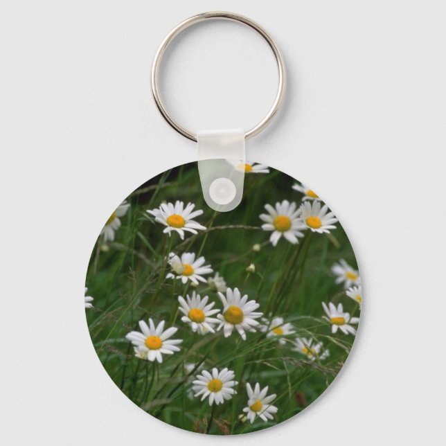 white Oxeye daisy flowers Key Ring (Front)