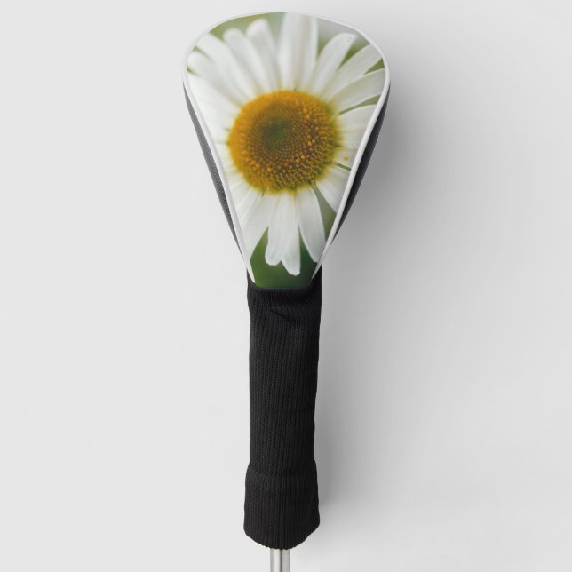 White Oxeye Daisy - Leucanthemum vulgare   Golf Head Cover (Front)