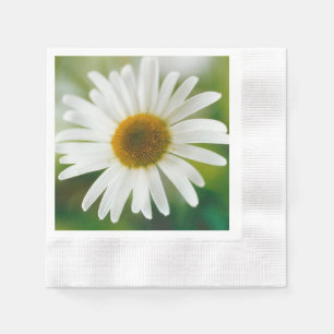 White Oxeye Daisy - Leucanthemum vulgare Napkin