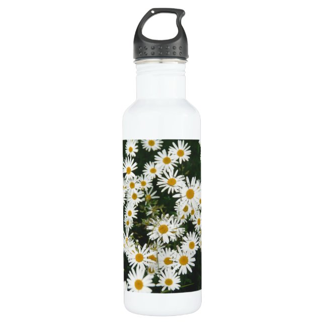 White Oxeye Daisy, Moon Daisy Meadow 710 Ml Water Bottle (Front)