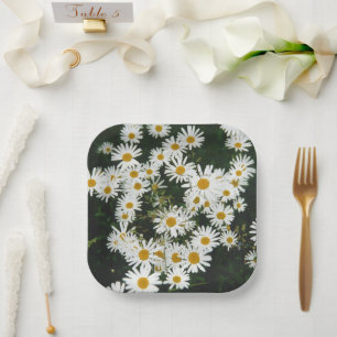 White Oxeye Daisy, Moon Daisy Meadow Paper Plate
