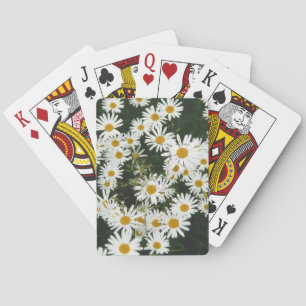 White Oxeye Daisy, Moon Daisy Meadow Playing Cards