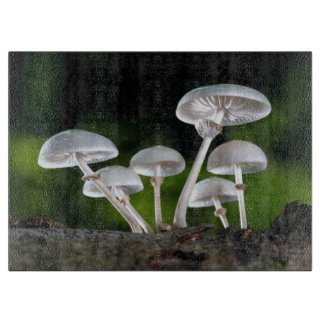 White Oyster Autumn Mushrooms Cutting Board