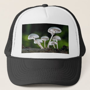 White Oyster Autumn Mushrooms Trucker Hat