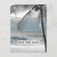 White Palm Coconut Tree Elegant Chic Save the Date