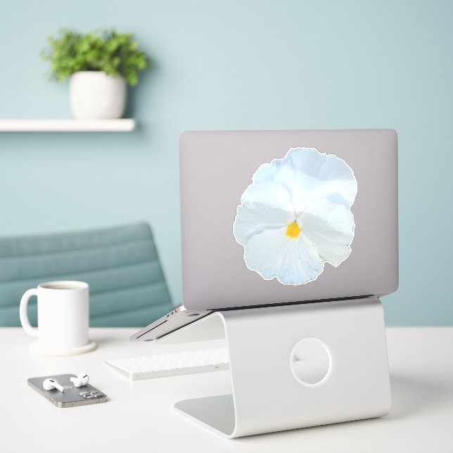 White Pansy (Laptop On Desk)