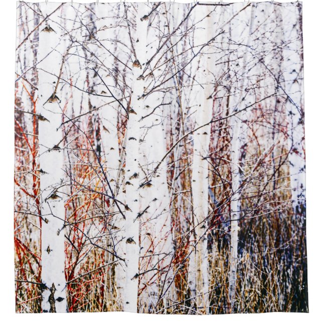 White Paper Birch Trees Forest Shower Curtain (Front)
